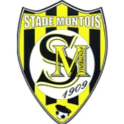 Logo of Mont-de-Marsan