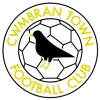 Logo of Cwmbran Town