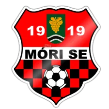Logo of Mori SE