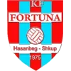Logo of Fortuna Singelik