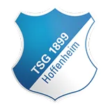 Logo of Hoffenheim U19