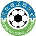 Logo of Hebei Youth