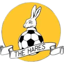 Logo of March Town United