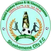 Logo of Shashemene Kenema FC