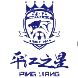 Logo of Hunan Tianyueyong