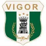 Logo of Vigor Lamezia