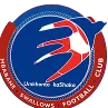 Logo of Mbabane Swallows