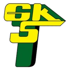 Logo of Gornik Leczna B