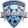 Logo of Wilmington Hammerheads