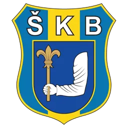 Logo of SK Bernolakovo