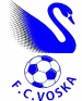 Logo of Voska Sport