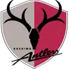 Logo of Kashima Antlers U19