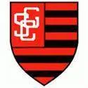 Logo of Guarany CE