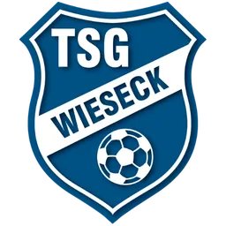Logo of TSG Wieseck U17
