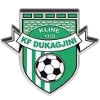 Logo of KF Dukagjini