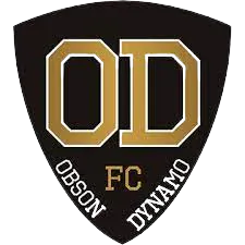 Logo of Obson Dynamo FC