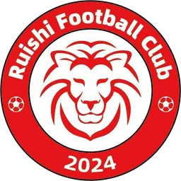 Logo of Ganzhou Ruishi