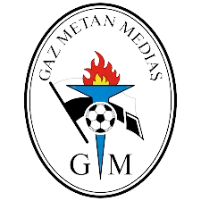 Logo of Gaz Metan Medias U19