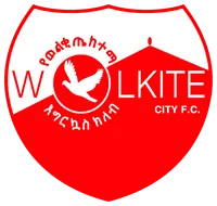 Logo of Welkite Ketema