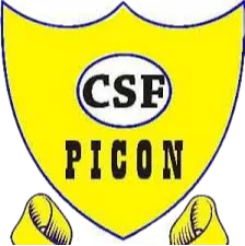 Logo of CSF Picon