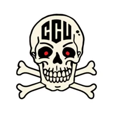 Logo of Central Coast United FC U20