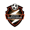Logo of Atletico Saltillo