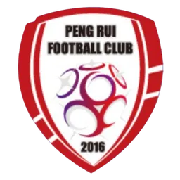 Logo of Beijing Pengrui