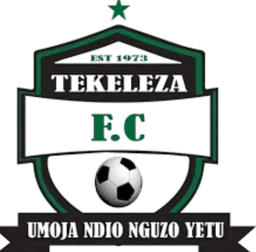 Logo of Tekeleza FC