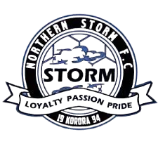 Logo of Northern Storm