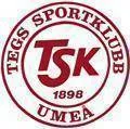 Logo of Tegs SK