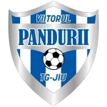 Logo of ACS Viitorul Pandurii Targu Jiu