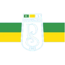 Logo of Radunia Stezyca II
