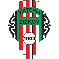 Logo of Viktoria Zizkov