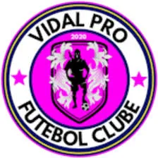 Logo of Vidal Pro (W)
