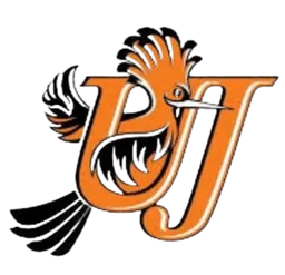 Logo of University of Johannesburg FC