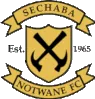 Logo of Notwane FC