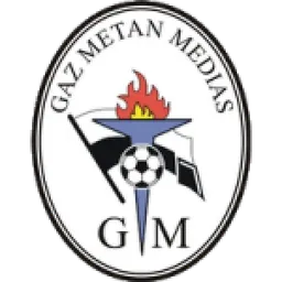 Logo of Gaz Metan Medias