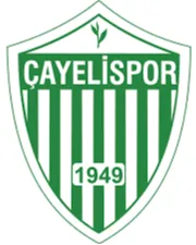 Logo of Cayelispor