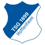 Logo of TSG Hoffenheim Youth
