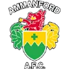 Logo of Ammanford