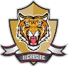 Logo of Tigres U19