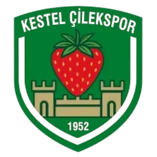 Logo of Kestel Çilekspor