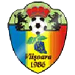 Logo of Viisoara Miles