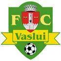 Logo of Vaslui