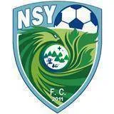 Logo of Shenyang Zhongze（2005-2015）