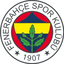 Logo of Fenerbahce U19