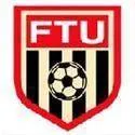 Logo of Flint Town