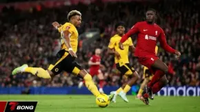 Nhận định Wolves vs Liverpool 04/03 khi Bầy sói dựa vào Matheus Cunha