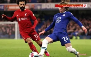 Tỷ Lệ Kèo Bóng Đá Là Gì? Hiểu Đúng Tăng Cơ Hội Thắng Cược