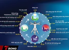 Giờ thi đấu ảnh hưởng thế nào đến phong độ các đội tại Ngoại hạng Anh